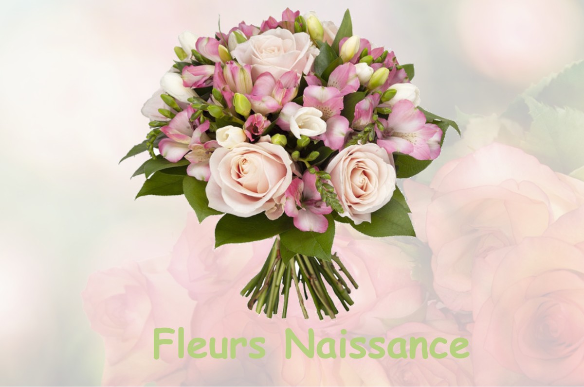 fleurs naissance MESVES-SUR-LOIRE