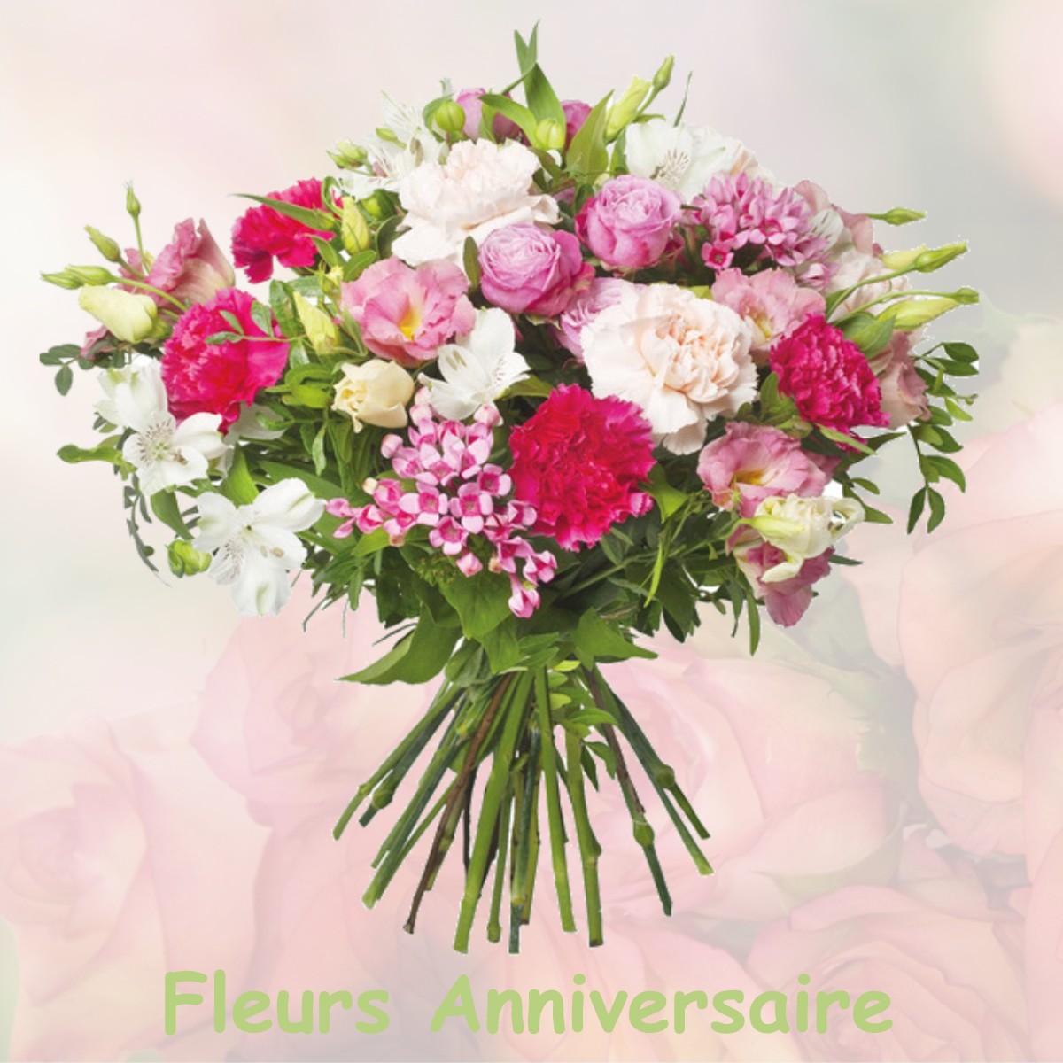 fleurs anniversaire MESVES-SUR-LOIRE